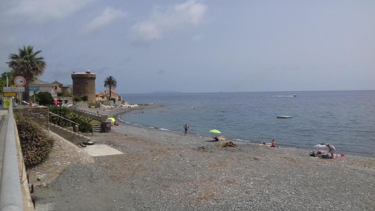 Agreable Studio Debut Cap Corse Proche Bastia San-Martino-di-Lota Eksteriør bilde