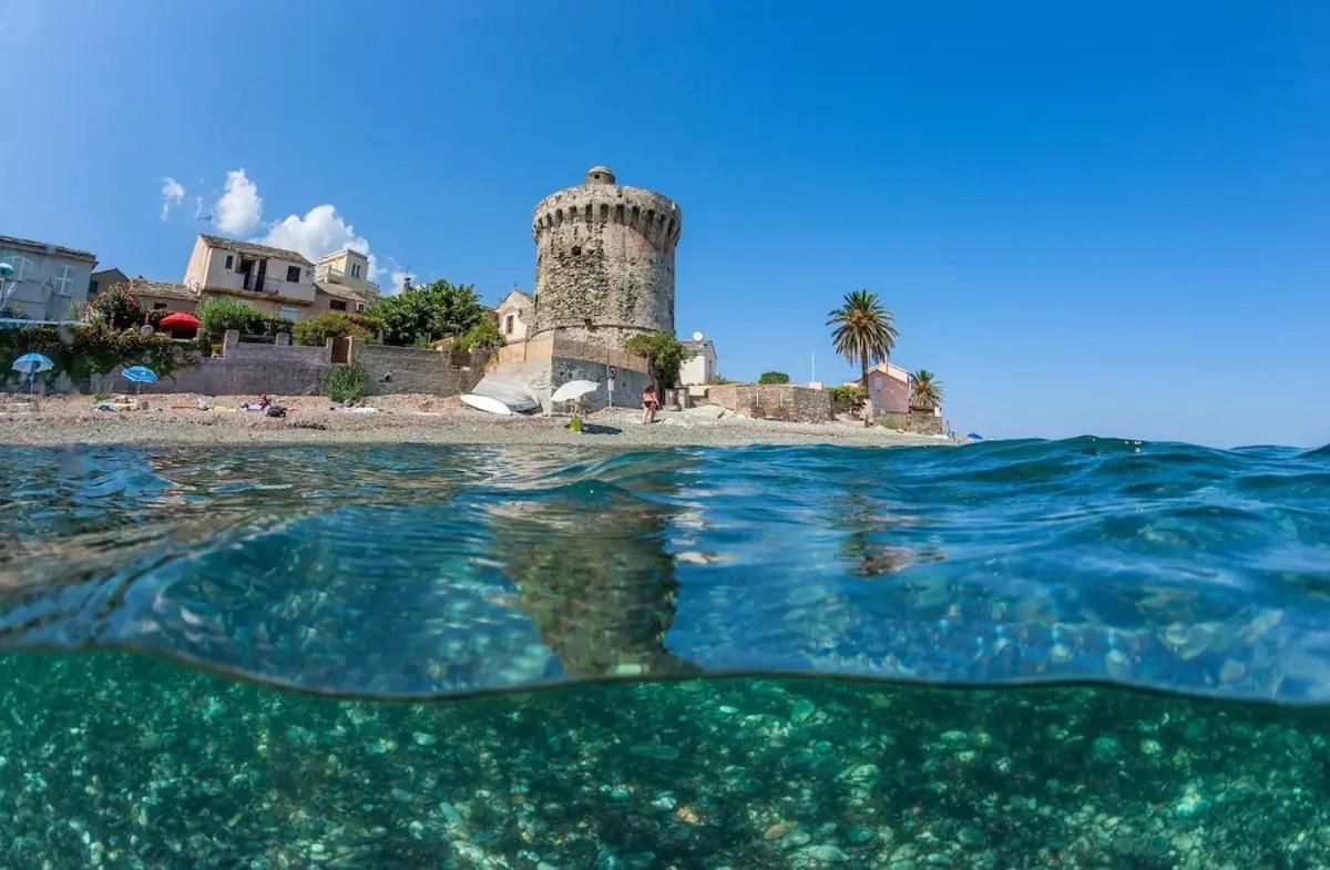 Agreable Studio Debut Cap Corse Proche Bastia San-Martino-di-Lota Eksteriør bilde