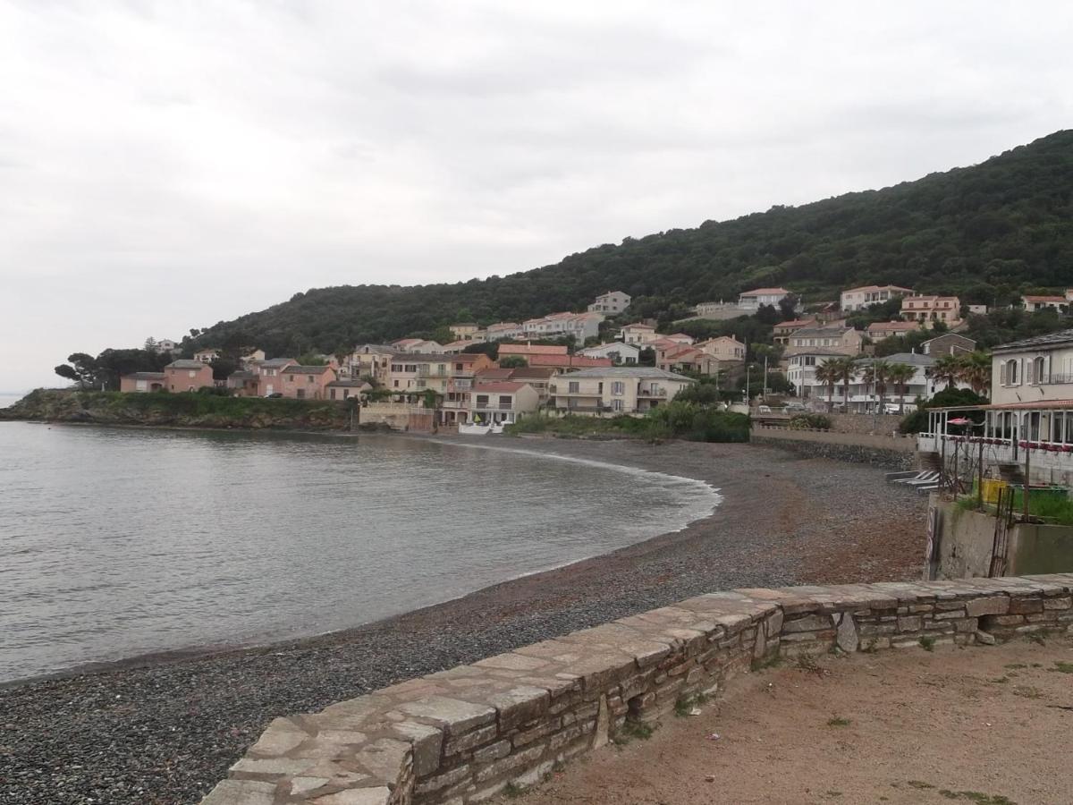 Agreable Studio Debut Cap Corse Proche Bastia San-Martino-di-Lota Eksteriør bilde